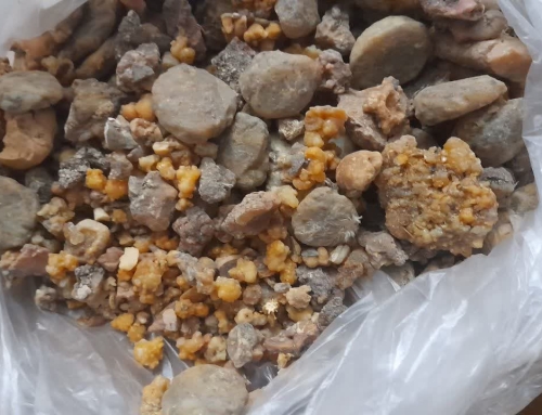فروش انغوزه تلخ خشک در سال 1402