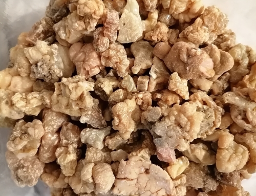 خرید آنغوزه تلخ خشک در سال 1402