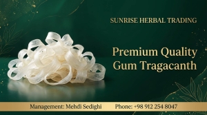 09122548047 
با ما تماس بگیرید 