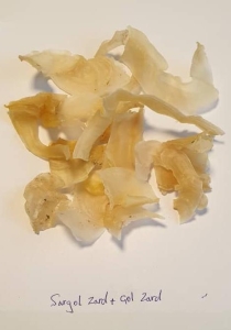 کتیرا سرگل زرد 