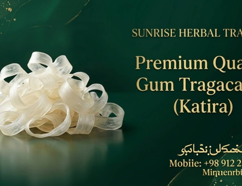 مقایسه قیمت فروش کتیرا در دیجی کالا با قیمت کتیرا در بازرگانی سان رایز